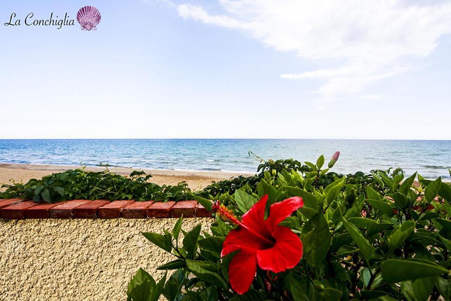 Casa La Conchiglia Sulla Spiaggia Lido di Noto Kültér fotó